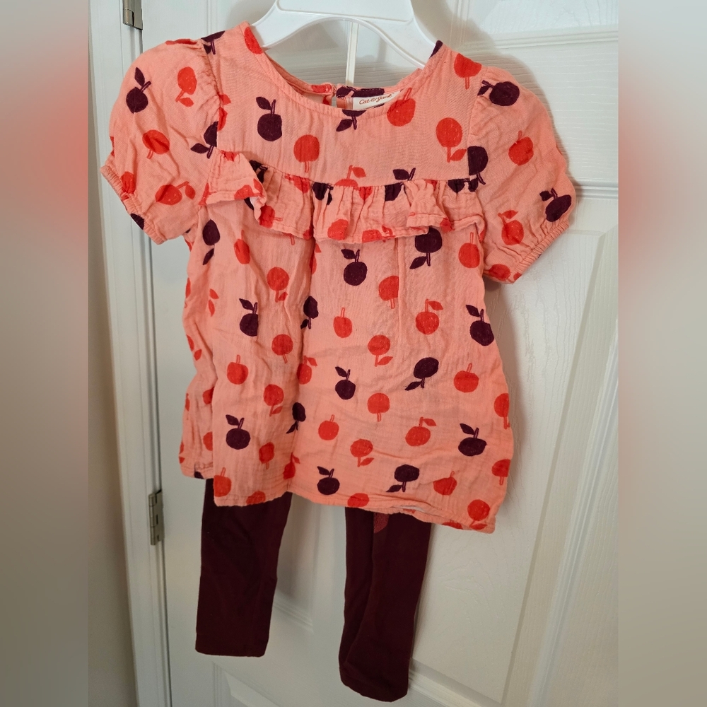 Cat & Jack Peach and Purple Apple Shirt And Leggings